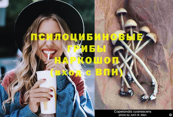 MDMA Богданович